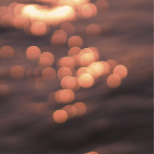 扒开女仆❌狂揉❌难受
