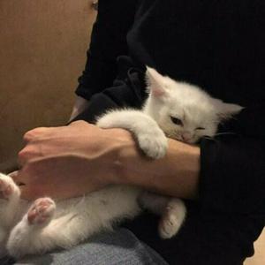 扒开女仆❌狂揉❌难受
